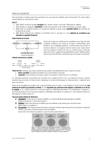 Tema-20.pdf