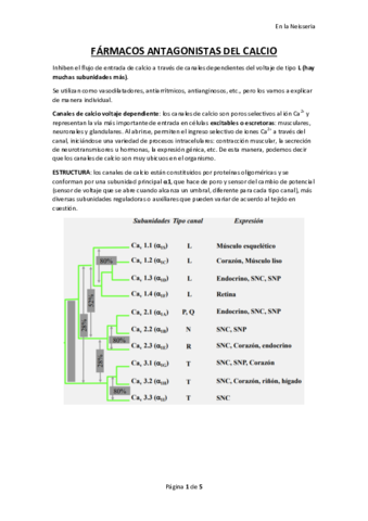 ANTAGONISTAS-DEL-CALCIO.pdf