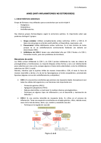 AINES.pdf