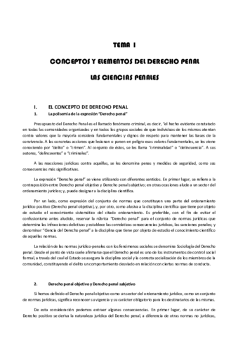 TEMARIO COMPLETO.pdf