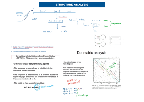 BioCompNotesonChapter5.pdf