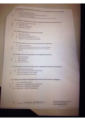 Test-primer-parcial.pdf