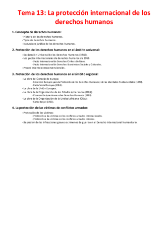 Tema-13-La-proteccion-internacional-de-los-derechos-humanos.pdf