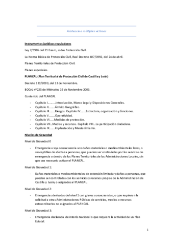 Tema-1-accidentes-multiples-victimas-.pdf