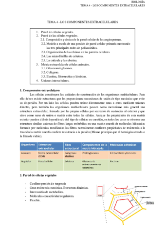 TEMA-4-LOS-COMPONENTES-EXTRACELULARES.pdf