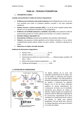 Tema2A.pdf