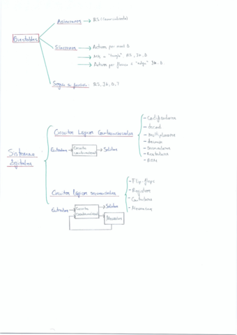 tema-3-teoria-y-ejercicios.pdf