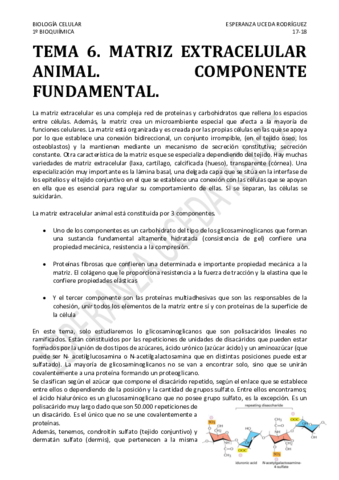 TEMA-6.pdf