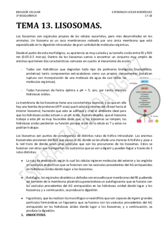 TEMA-13.pdf