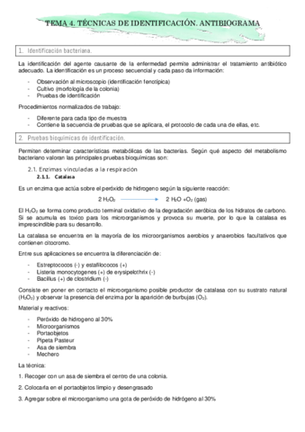 TEMA-4.pdf