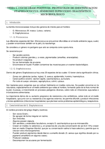 TEMA-5.pdf