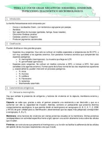 TEMA-5.pdf
