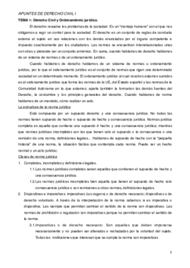 Apuntes CIVIL I.pdf