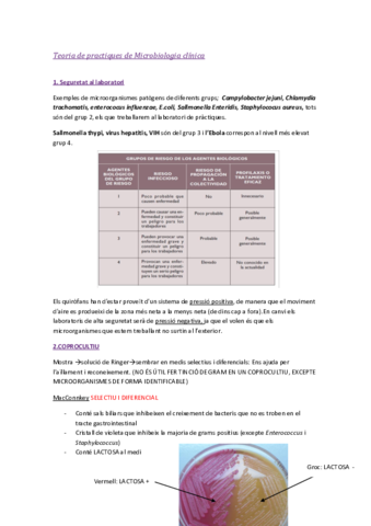 Practiques-Microbiologia-clinica.pdf