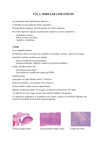 T19-2-Nodulos-linfaticos.pdf