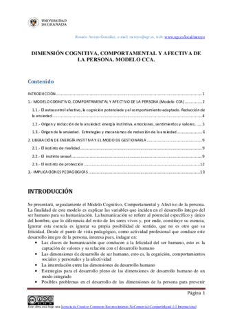 ModeloCCA-desarrollado.pdf