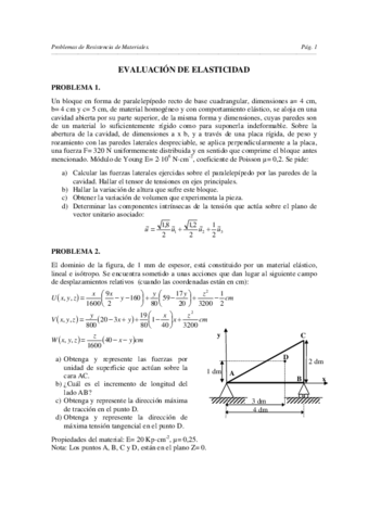 T5EvaluacionElasticidad.pdf