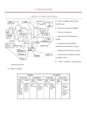 TEORIA-SOCIOLOGICA-MICRO.pdf