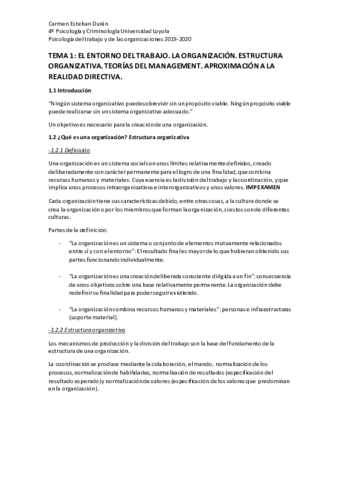 TEMA-1.pdf