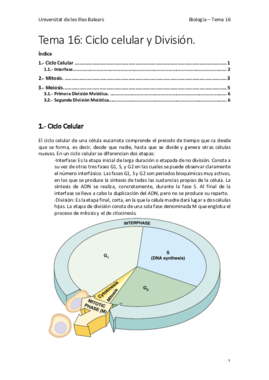 Tema 16 - Ciclo Celulay y División.pdf