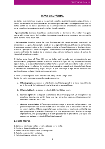 APUNTES PENAL.pdf