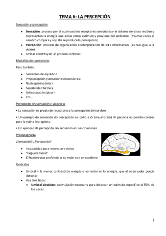 TEMA-6-LA-PERECEPCION.pdf