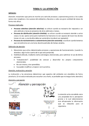 TEMA-5-LA-ATENCION.pdf