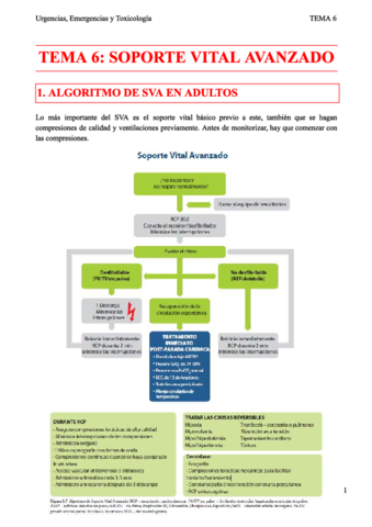 Tema-06.pdf