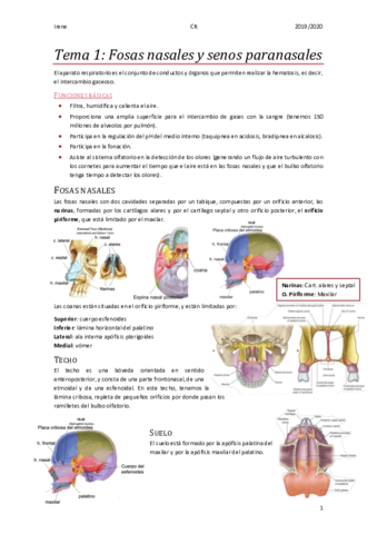 CR-Anatomia-Tema-1-Fosas-nasales.pdf