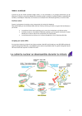 Tema-5-bio.pdf