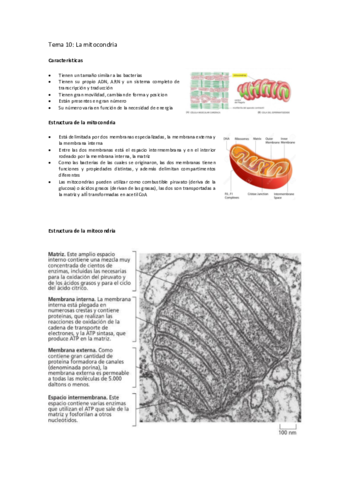 Tema-10-bio.pdf