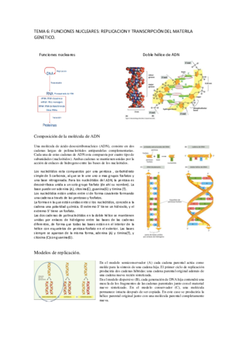 Tema-6-bio.pdf
