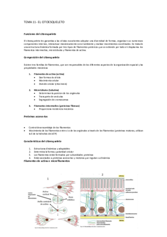 Tema-11-bio.pdf