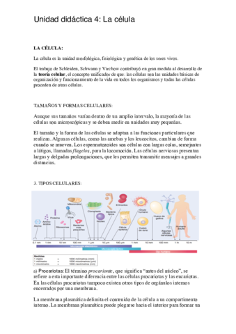 Unidad-didactica-4.pdf