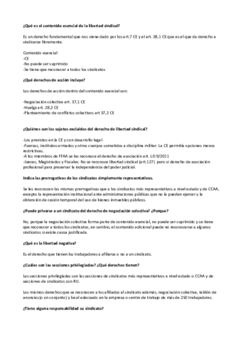 Examen Derecho Sindical.pdf