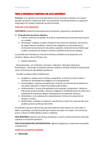 TEMA-2.pdf