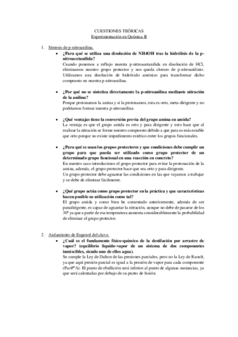 CUESTIONES-TEORICAS.pdf