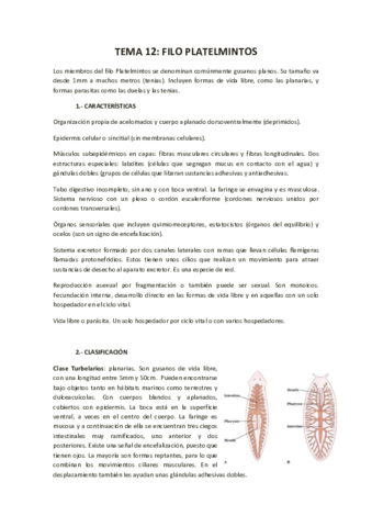 Apuntes-zoologia-2-parte-1.pdf