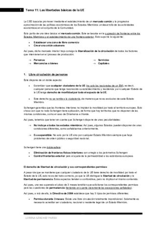 Tema-11-Las-libertades-basicas-de-la-UE.pdf