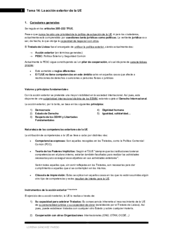 Tema-14-La-accion-exterior-de-la-UE.pdf