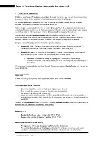 Tema-13-Espacio-de-Libertad-Seguridad-y-Justicia-de-la-UE.pdf