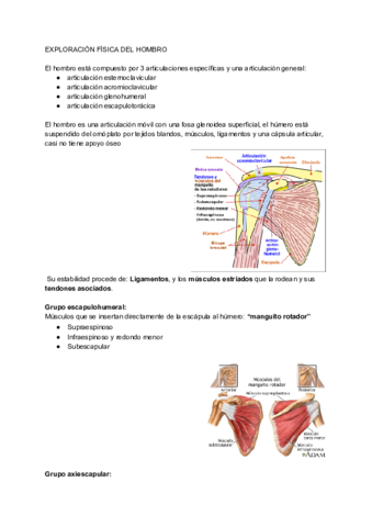 EXPLORACION-FISICA-DEL-HOMBRO-1.pdf