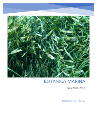 Botanica1.pdf