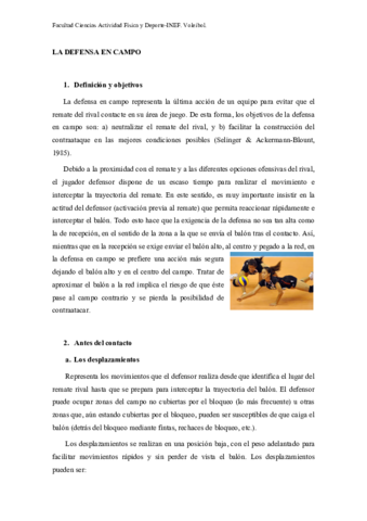 defensa.pdf