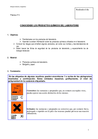 Practica-5.pdf