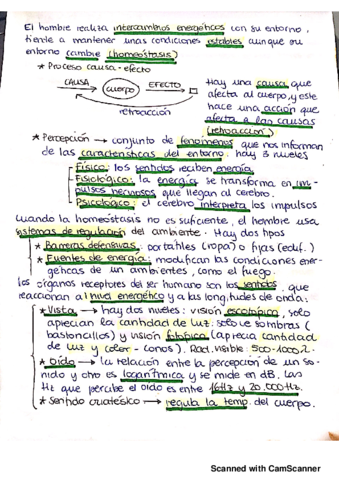 Nuevo-doc-2018-10-18-12.pdf