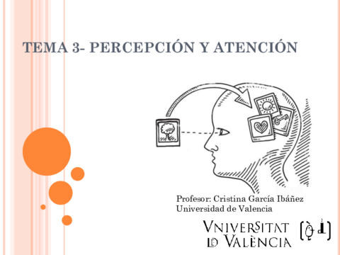 TEMA-3-Percepcion-y-atencion.pdf