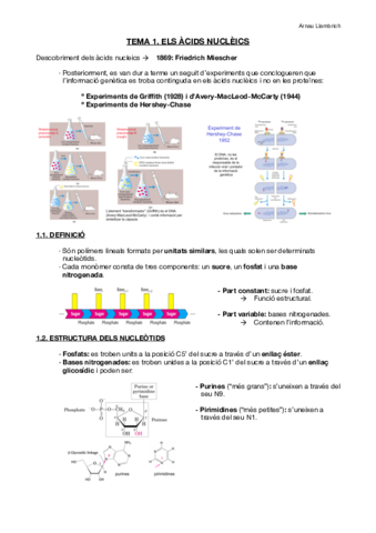 Apunts-Biologia-Molecular-i-Genomica-Tema-1.pdf