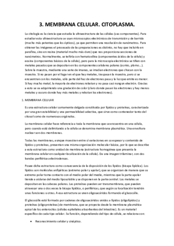 Apuntes-primer-parcial.pdf