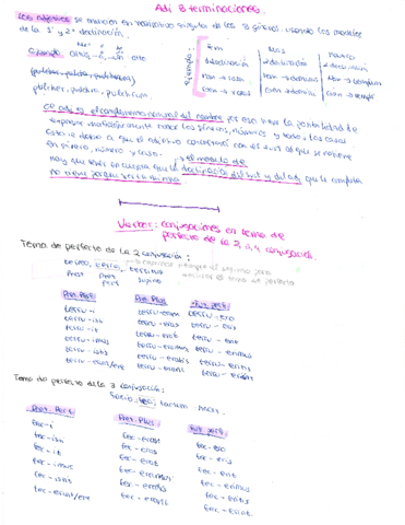 latin-8.pdf